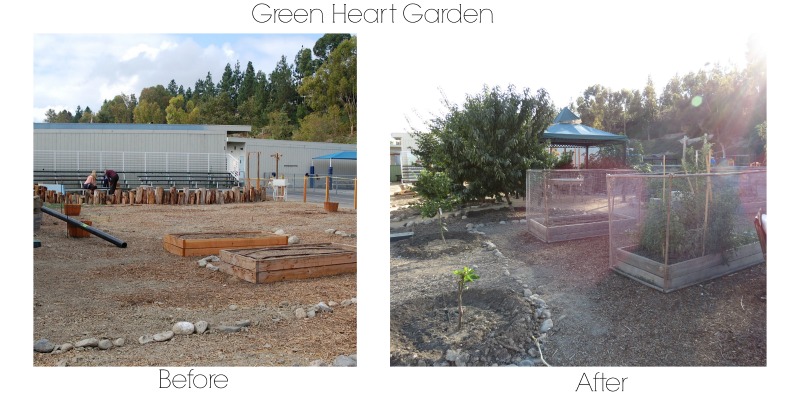 GreenHeart-beforeafter