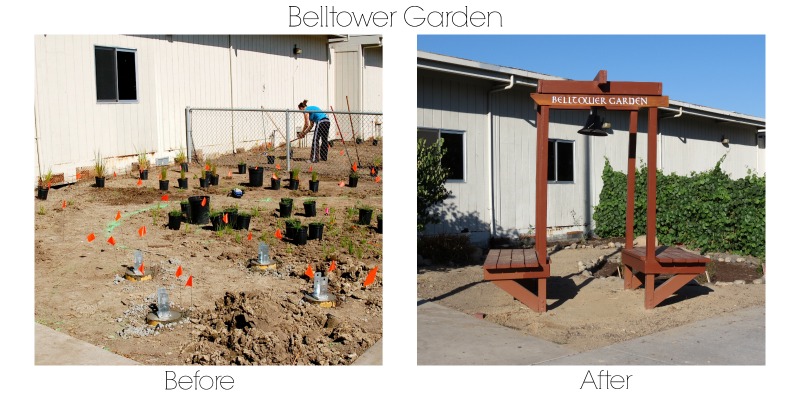 belltower-beforeafter